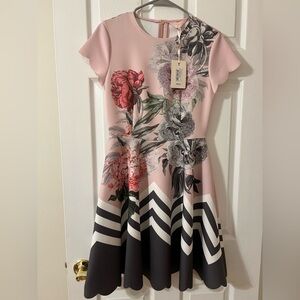 Ted Baker Dusky Pink Palace Gardens Ruffle Dress